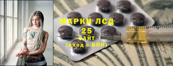 ПСИЛОЦИБИНОВЫЕ ГРИБЫ Алексин
