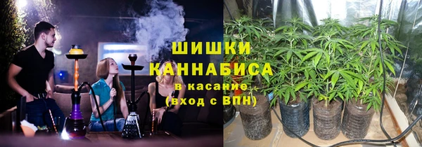 ПСИЛОЦИБИНОВЫЕ ГРИБЫ Алексин
