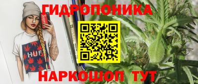 прущие крисы Тверь