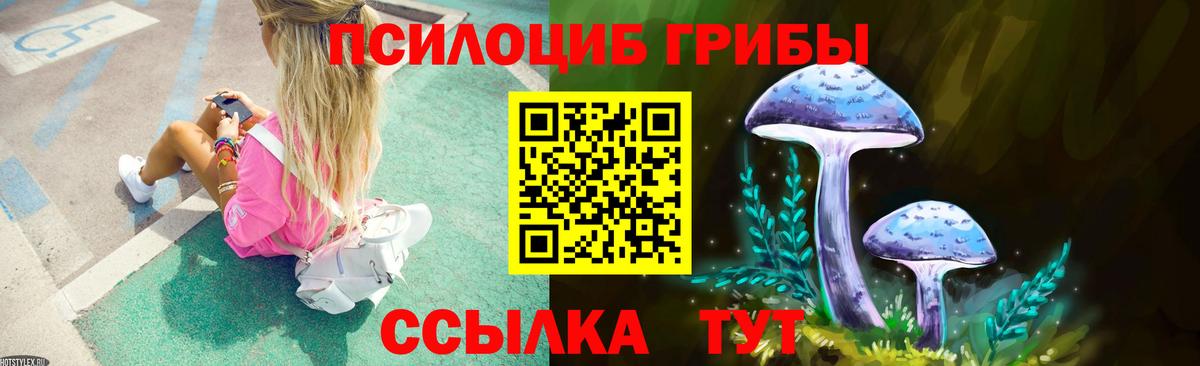 Псилоцибиновые грибы MAGIC MUSHROOMS  Вход с VPN  Новоалтайск 